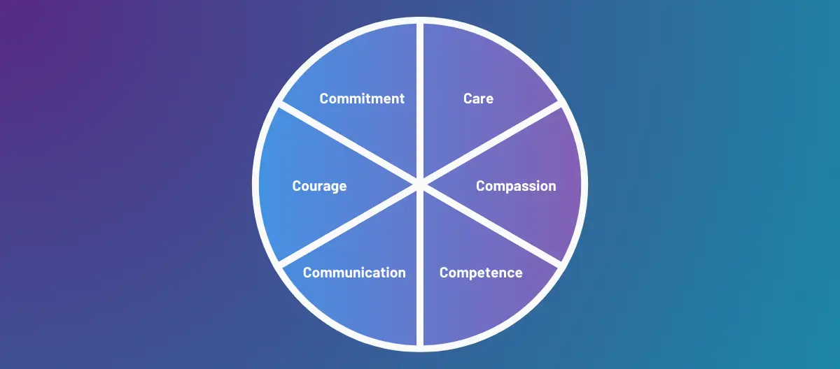 The 6 Cs in Health and Social Care